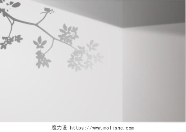 灰色简约墙壁墙面唯美植物叶子树枝光影展板背景自然光影背景  
